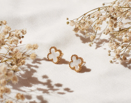 Champagne  Clover Wishes Studs